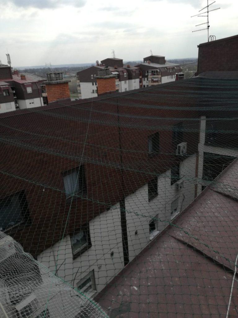 Zaštita od ptica u ulici Dr. Ivana Ribara