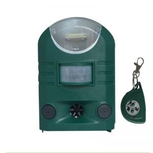 Guardian